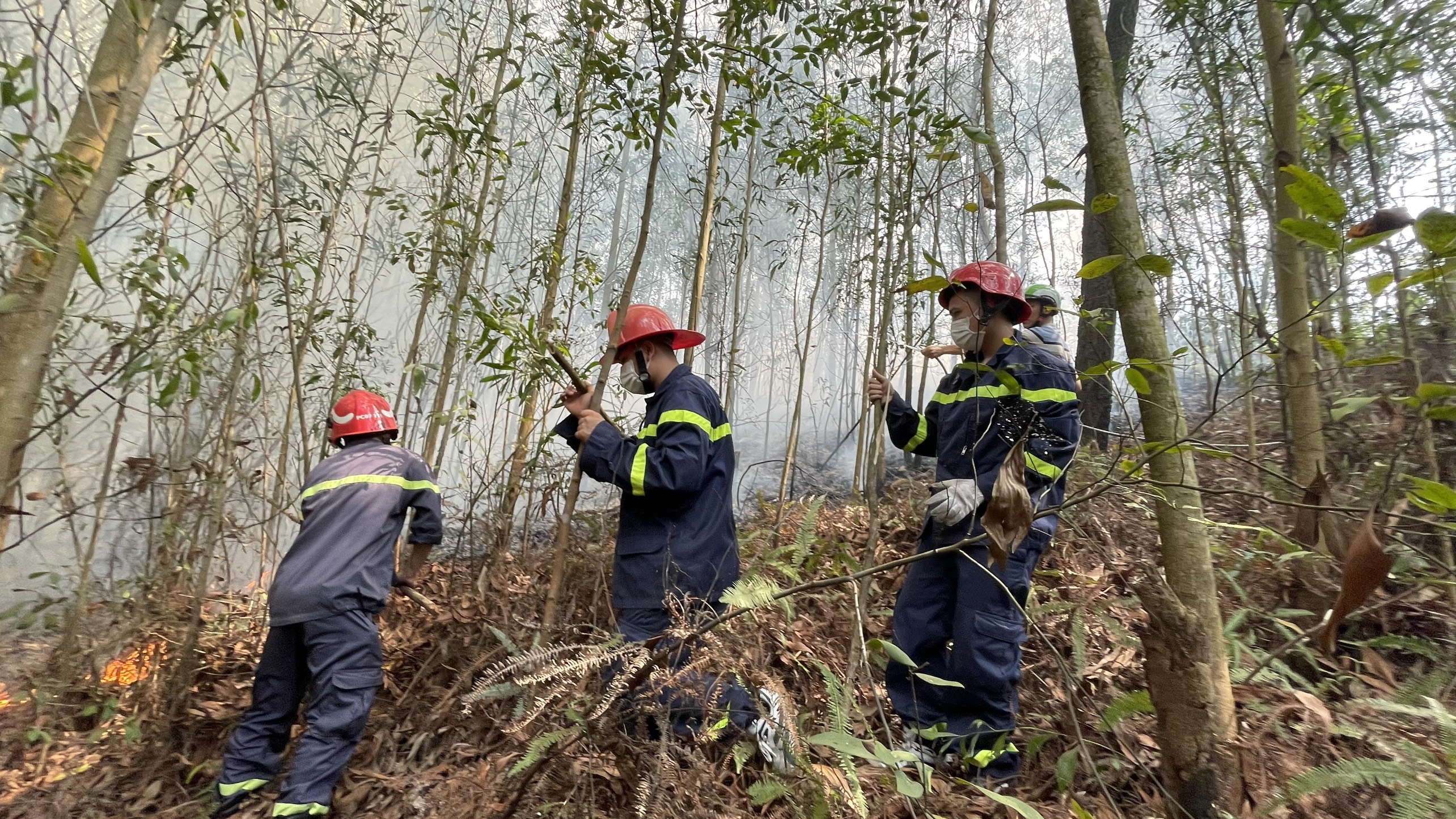 Tăng cường các biện pháp cấp bách phòng cháy, chữa cháy rừng
